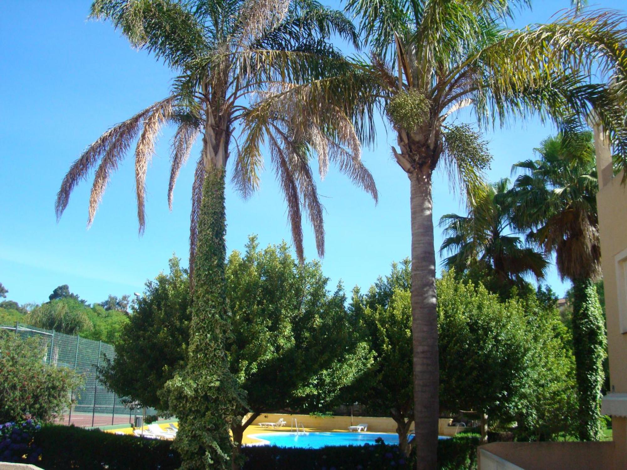 Апартаменты Islantur Ipanema Ислантилья Экстерьер фото